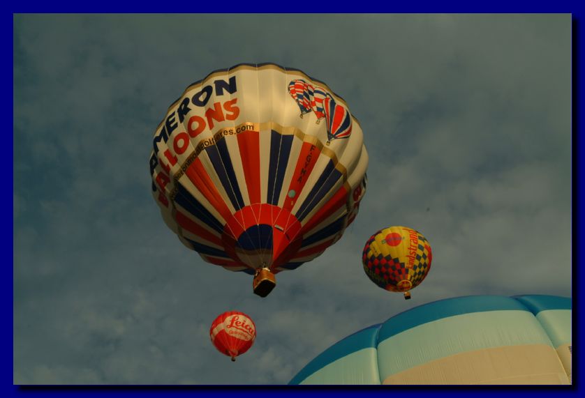 DSCF8196