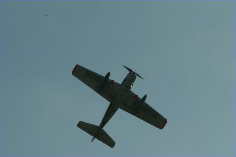 DSCF8164