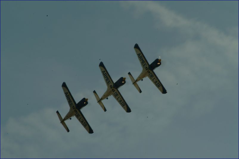 DSCF8175